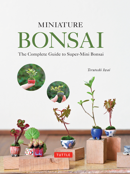 Title details for Miniature Bonsai by Terutoshi Iwai - Available